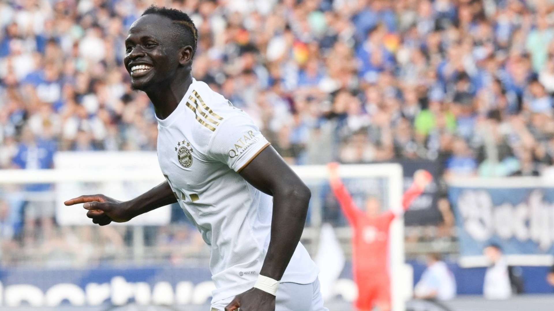 直接表明了 直接表明了